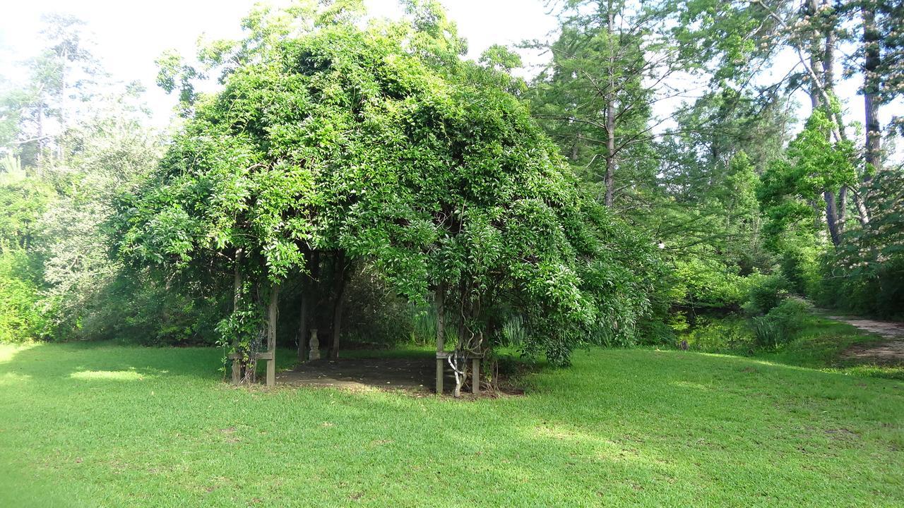 Ethridge Farm Villa Kountze Exterior photo